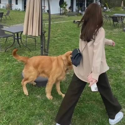 每个孩子